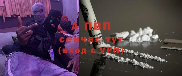прущие грибы Волоколамск
