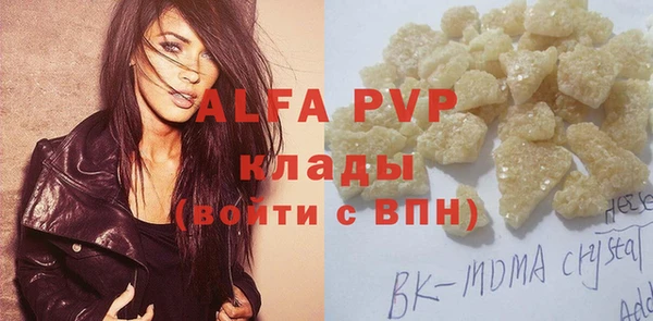PSILOCYBIN Волосово
