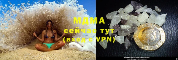 прущие грибы Волоколамск