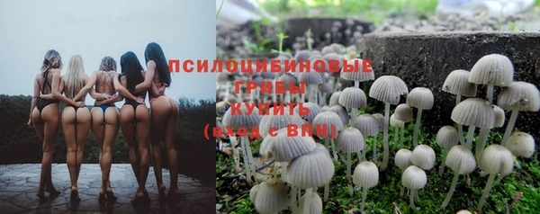 MESCALINE Верея